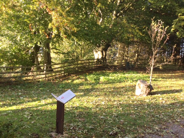 autumn beech tree with sign in foreground